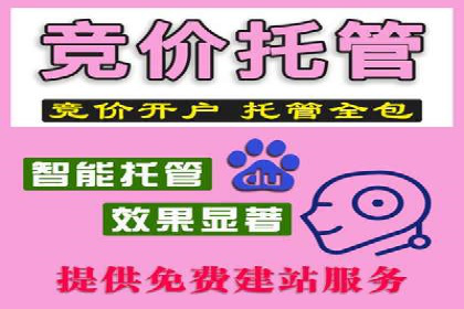 百度推广费用优化：案例分享与实战技巧