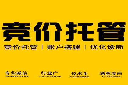 百度优化推广案例剖析：某电商平台的成功之路